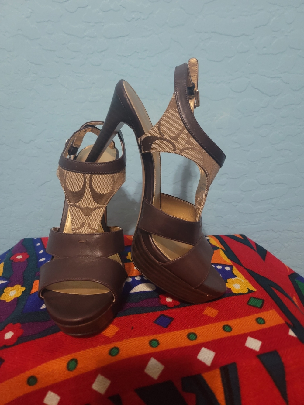 Coach Hollie Heels